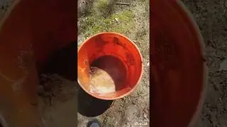 Can you get clay from dirt