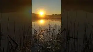 рассвет на рыбалке 