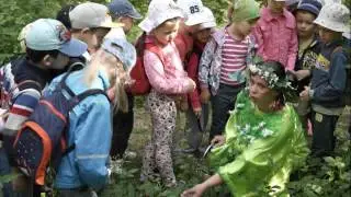 В гости к Лесной Фее