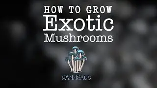 How to Grow Exotic Mushrooms
