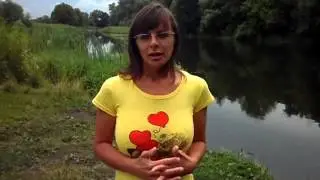 Все люди мечтают об отдыхе
