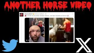 ANOTHER Twitter Horse Video