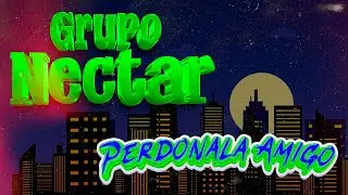 Perdónala amigo - Grupo Néctar | En vivo