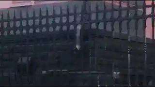 Марафон в Москве.