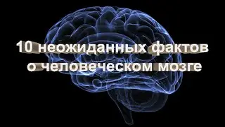 10 неожиданных фактов о человеческом мозге