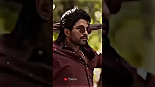 allu arjun 🌹😘New efx status 🌹😘Love status#alluarjun #shorts #viralshorts #love