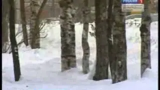 отдых в праздники