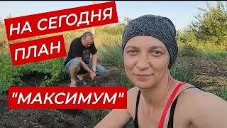 Я сама не знаю как мы все успеваем ))) ремонт, сад, огород, травы и т. д.