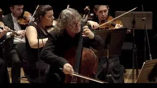 Al. Knyazev, Dm. Yablonsky, ASSO - Alexey Shor: Concerto for Cello and Strings "Musical Pilgrimage"