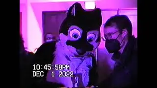 MFF 2022 Thursday - VHS Edition