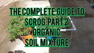 Growing HUGE Cannabis w Screen of Green and Organic Potting Soil Mixture. Complete Beginner's Guide