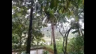 SUASANA MUSIM HUJAN DI KAMUNG PEDESAAN