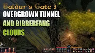 BALDUR'S GATE 3 - OVERGROWN TUNNEL BIBBERFANG CLOUDS