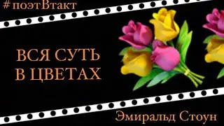 🔰ВСЯ СУТЬ В ЦВЕТАХ🔰 Эмиральд Стоун