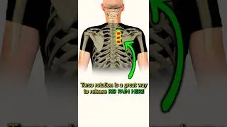 Upper back pain relief exercise