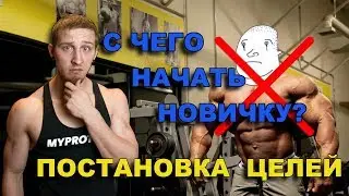 Новичок в спортзале? Как грамотно начать заниматься в тренажерном зале.