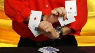 The World's Fastest Hands