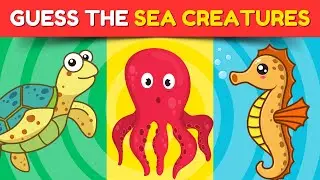 Can You Identify These Sea Creatures? (Ocean Life Quiz) 🌊🐠