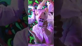 The White Packrat from JHS Pedals!
