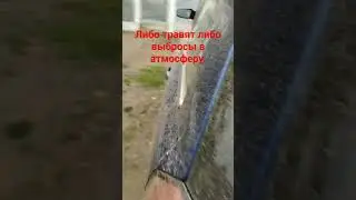Либо травят либо выбросы