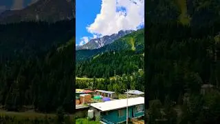Naltar Valley The Best scene #pakistannorth #pakistan #mountain #travel