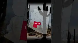 Traffic in Phoenix Was Pretty Gruesome