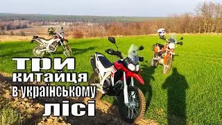 Урочище Шаєва гора. Вергуни, Чубівка, Думанці. Enduro trip.