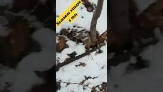 #Чудо