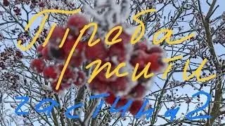 💛💙Треба жити. Частина 2. Історичні події життя в Польщі ❤🤍