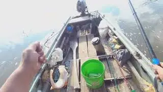 р. Обь.  Утренняя    рыбалка   в  заливчике.  на  поплавок.