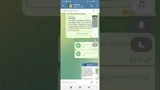 Моя переписка с Ксенией Собчак и ее командой