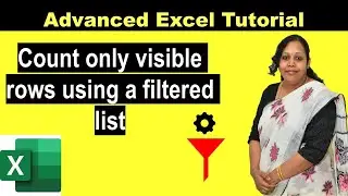 How to  count only visible rows in a filtered list | Count only visible rows using a filtered rows