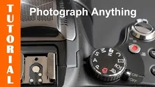 How To Photograph Anything (almost) with your FZ200/FZ1000