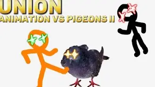 Union - Animation vs Pigeons II