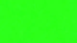 Lime Green Screen 