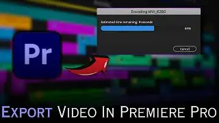 How To Export Video In Premiere Pro (2024)