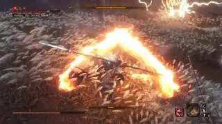My first no hit battle in Sekiro..