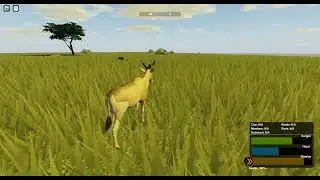 hyena and hartebeest playing