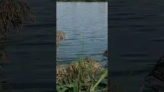 Погода сегодня хорошая!