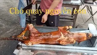 CHÓ QUAY NGUYÊN CON NÓNG HỔI VÀ EM GÁI XINH KHÔNG CƯỠNG NỔI XEM RỒI THÈM