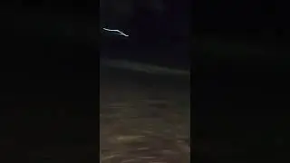 3 ноября 2023 г.