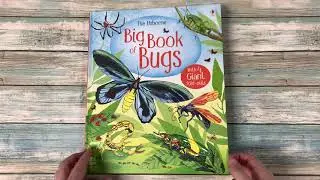 'Big Book of Bugs' - Usborne Canada