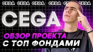 CEGA | Обзор проекта | Когда Testnet? Как получить роль в Discord?