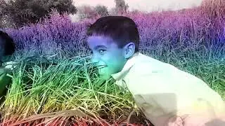 My beautiful green house || short vlog || life of village punjab pakistan  high  greenhouse tour