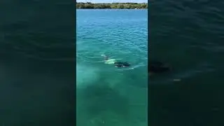 LAGUNAS DE CHACAHUA - Fui a Pescar al paraíso ¿Sabes qué pesqué?