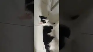 อะไร