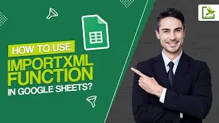 How to use ImportXML Function in Google Sheets?