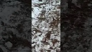 28 ноября 2021 г.