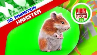 Green Screen Hamster 3D Animation PixelBoomCG