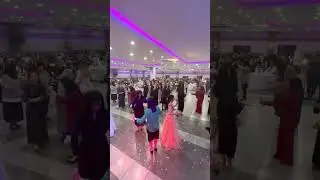 Musti müzik kaşık havası